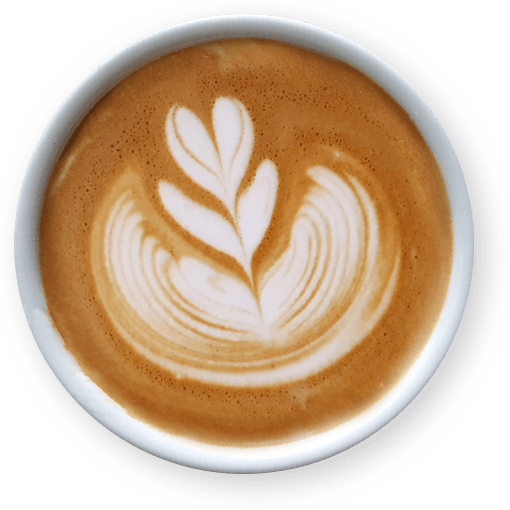 Latte art the tulip | Lattiz