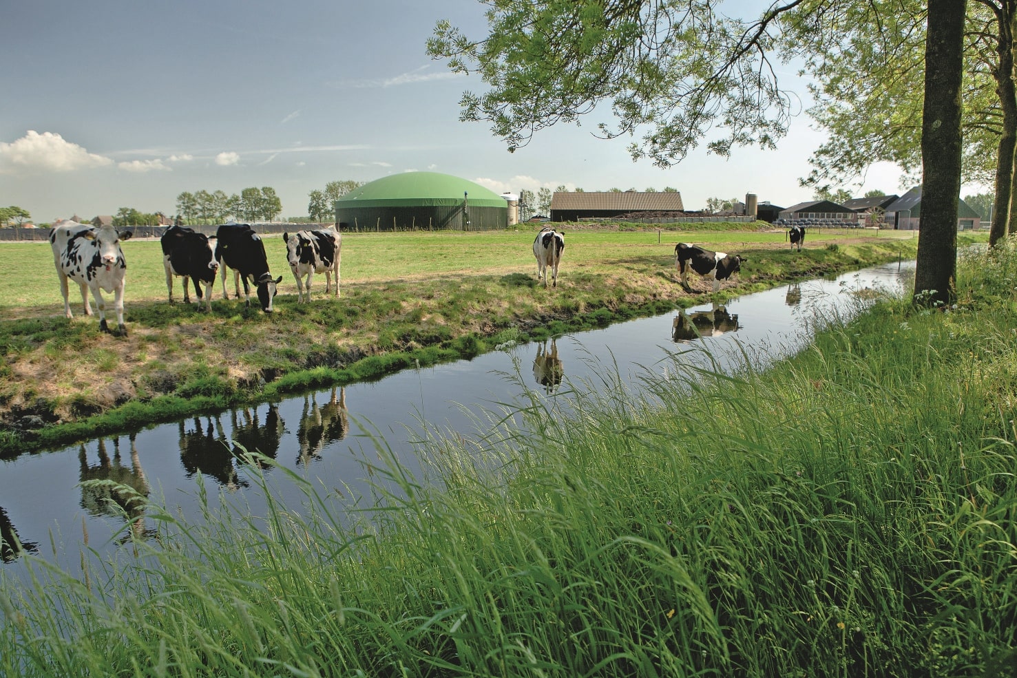 Sustainable production and packaging