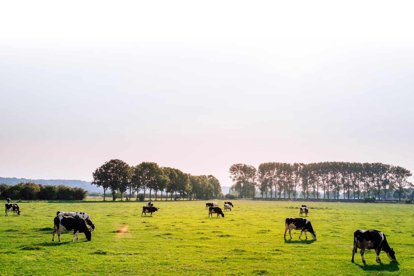 Boost your sustainability story.