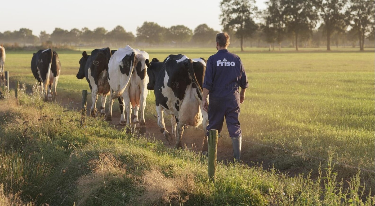 Animal welfare