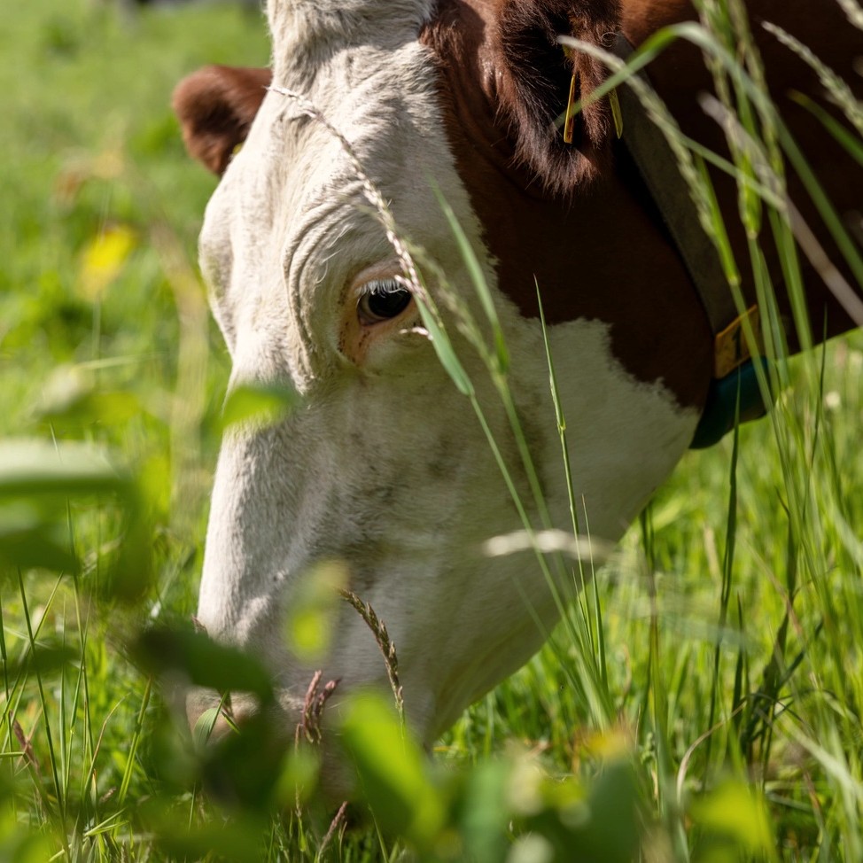 nos engagements pour un avenir durable