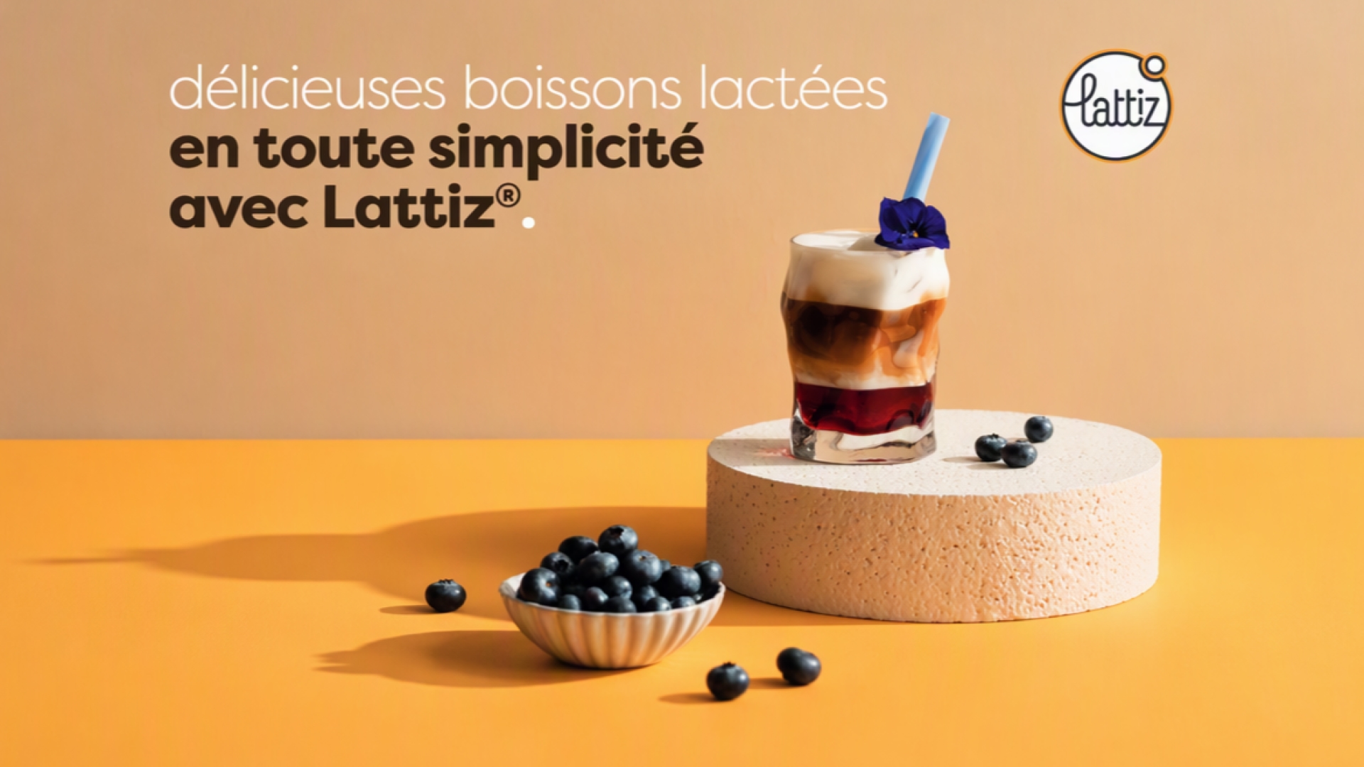 Livret de recettes Lattiz®
